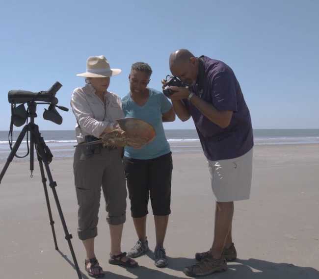 Visit Little St. Simons Island