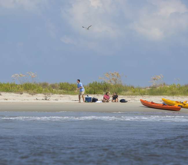 Things to Do on Georgia's Golden Isles | Shopping, Tours ...