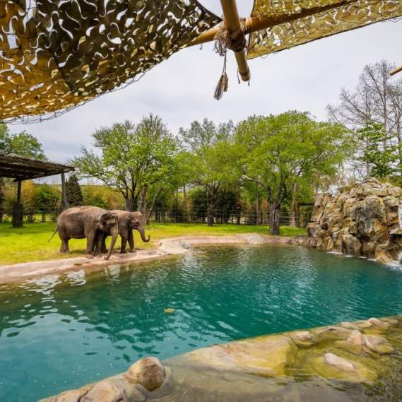 Elephant Springs zoo