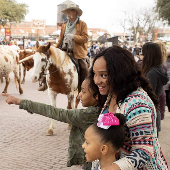 Stockyards Blog