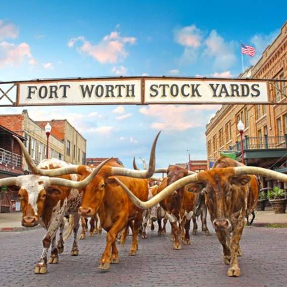 Stockyards