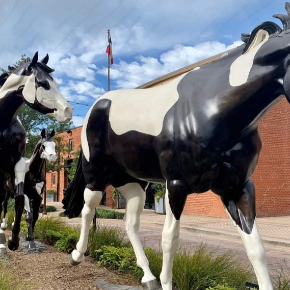 Stockyards Mule Alley