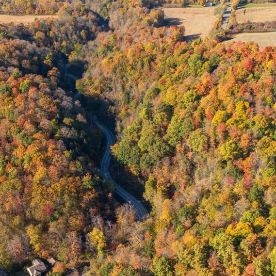 13 Curves: Ghost Bride Lore of Syracuse, NY