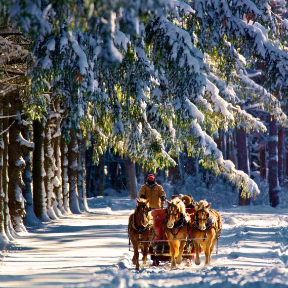 Tips and Tricks to Visiting Syracuse this Winter