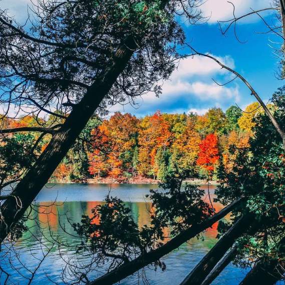 Onondaga County Fall Activities