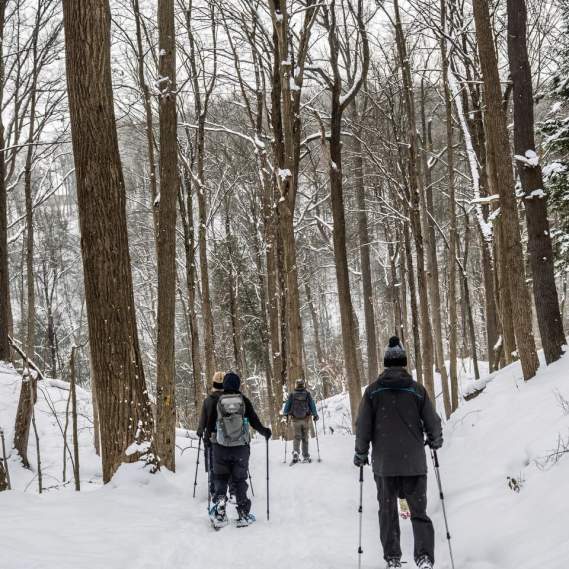 January Events in Syracuse