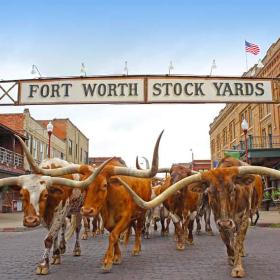 Stockyards Foodie Tour