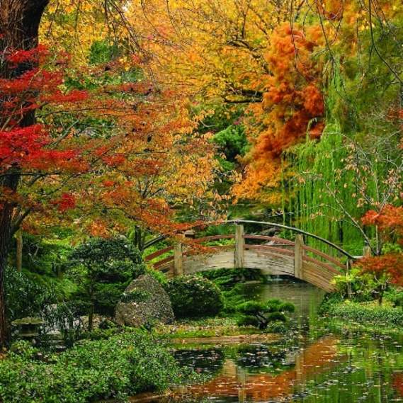 Fort Worth Japanese Gardens