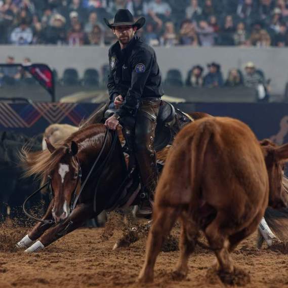 The American Performance Horseman