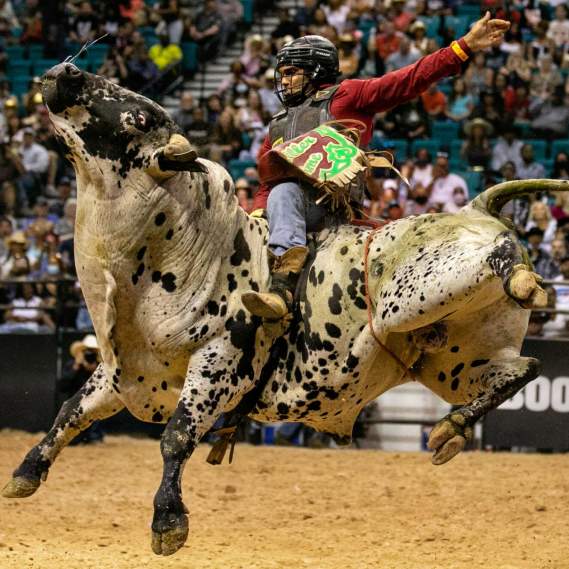 Bill Pickett Rodeo