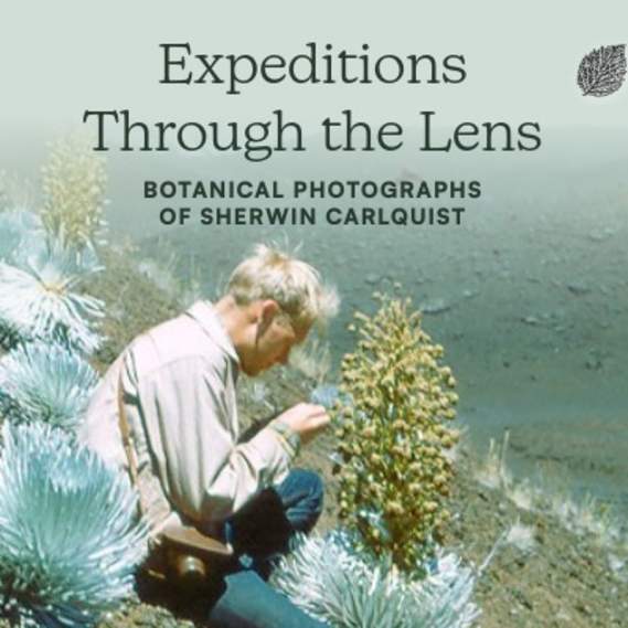 Exhibition — “Expeditions Through the Lens: Botanical Photographs of Sherwin Carlquist”