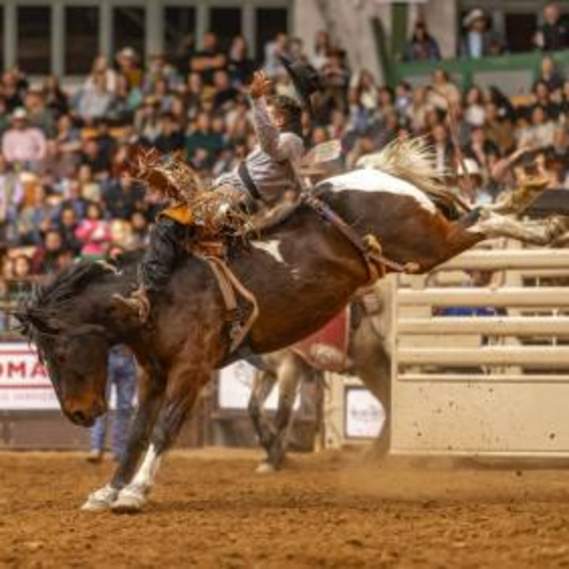 Stockyards Championship Rodeo - Fort Worth