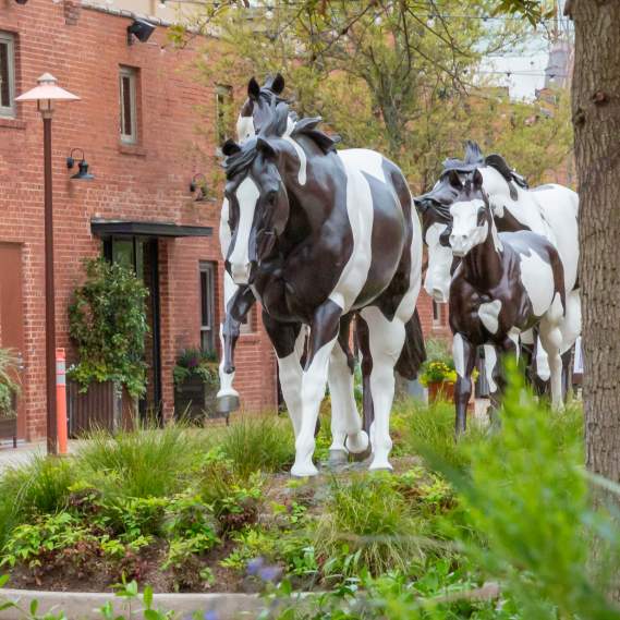 Mule Alley