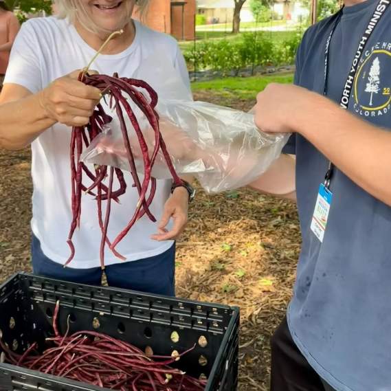 Become a Soil Scientist! All-Ages Workshop