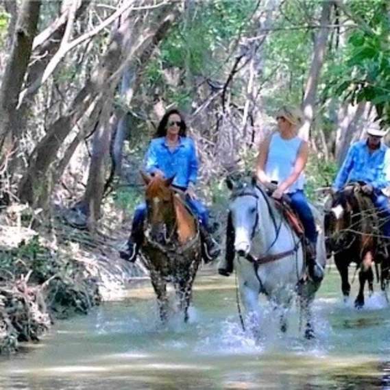 Benbrook Stables