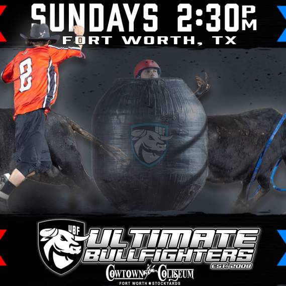 Ultimate Bullfighters