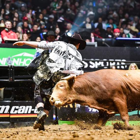 Ultimate Bullfighters - Fort Worth