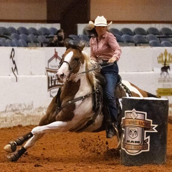 APHA World Championship Show