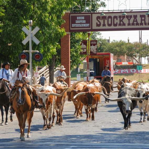 Second Rodeo Brewing & Stockyards Foodie Tour