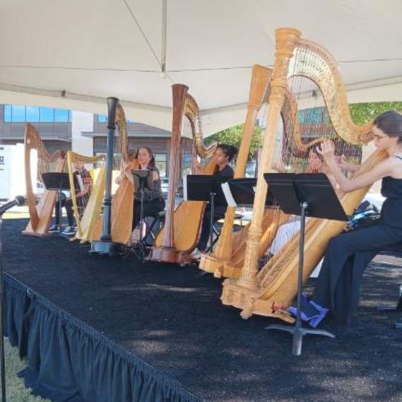 the Art Worth Festival