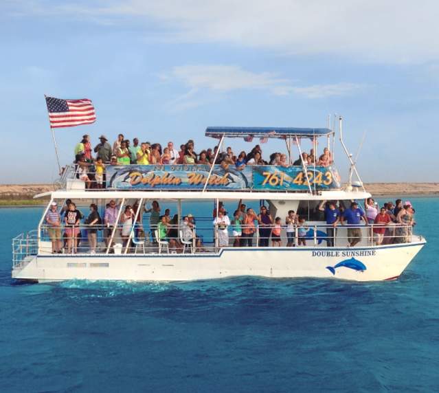 Dolphin-Watch boat