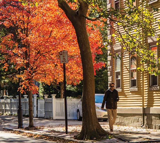 Buy Local for Thanksgiving: 5 Holiday Essentials