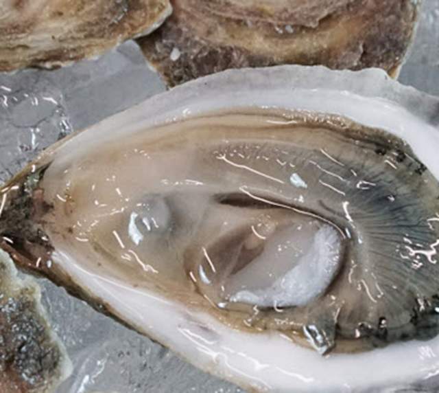 Small Bites: How to Shuck an Oyster