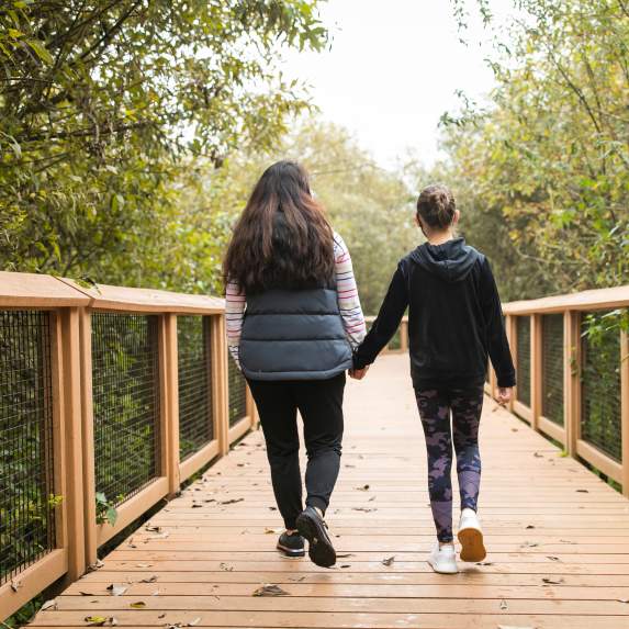 Springbrook Boardwalk at the Black River Riparian Forest