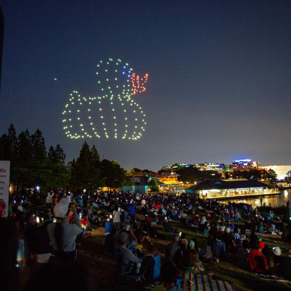 Renton River Days