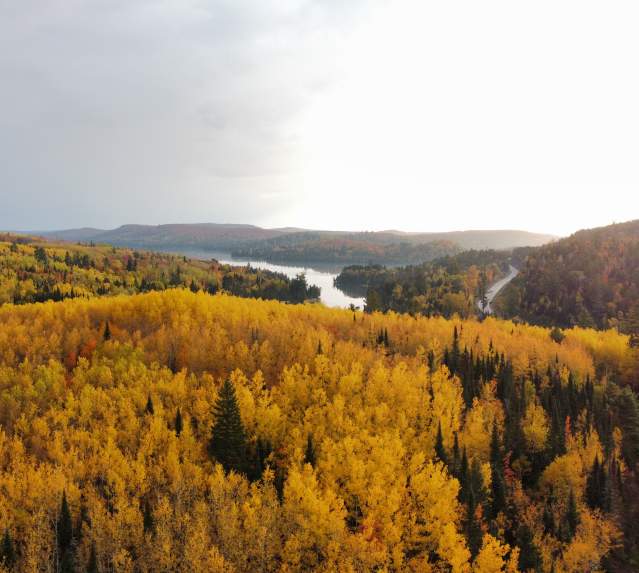 Welcome to Minnesota’s Fall Color Capital