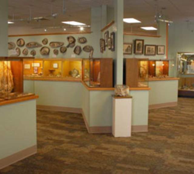 petrifiedwood-galleryview