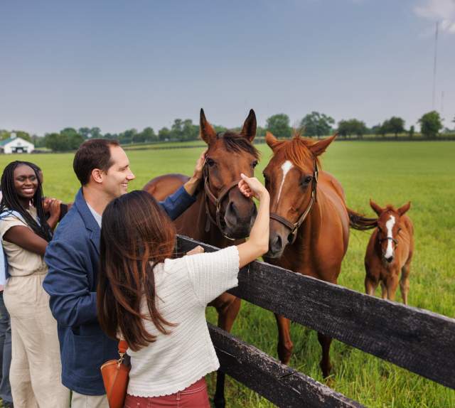 Horse Farm Tours