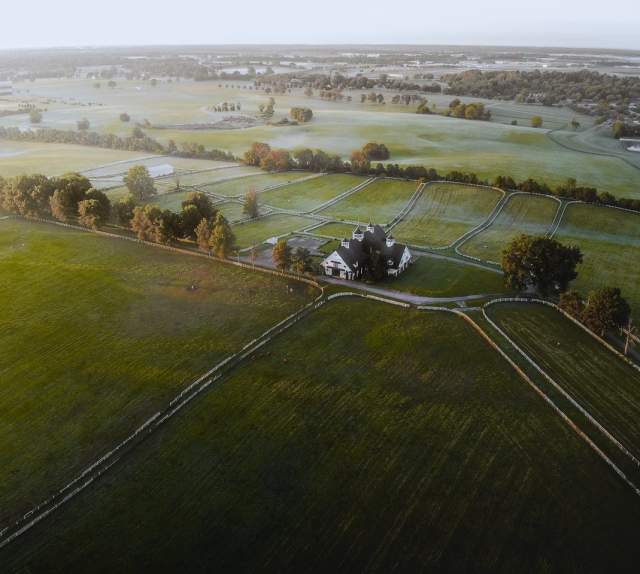 Blue grass Aerial