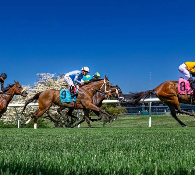 Horses racing at Keeneland in Lexington, KY.