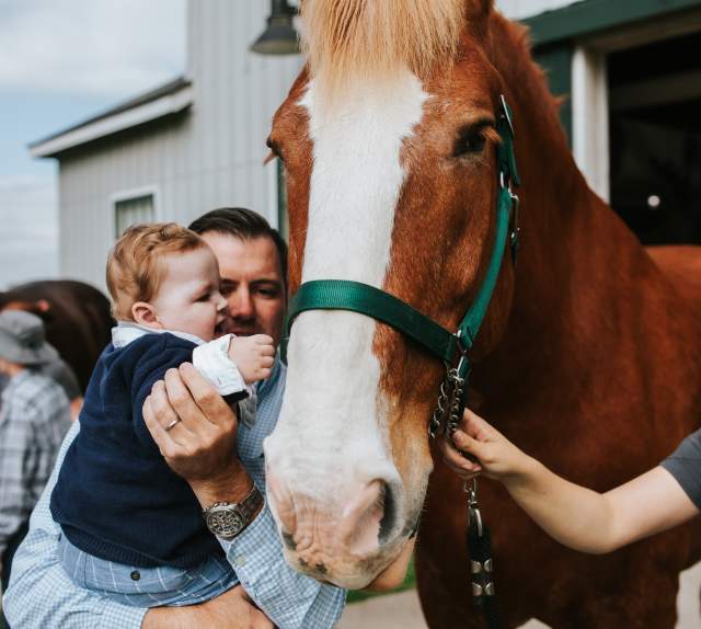 Horse Activities