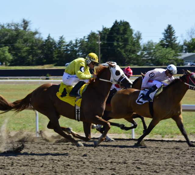 Horse Racing Lake Mac Casino Resort & Racebrack