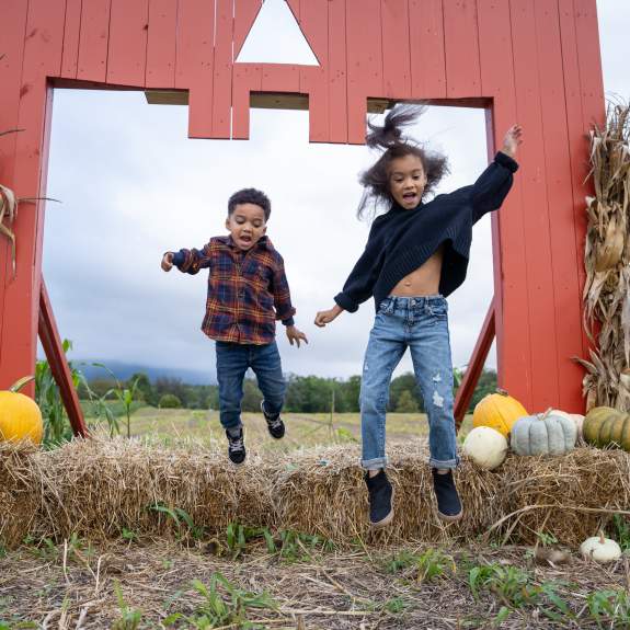 Warehimes Pumpkin Patch