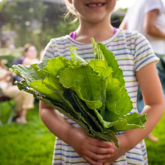 Collard Fest - Earth Day Blog header