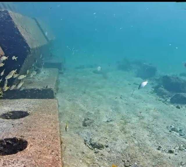 an underwater view of fish swimming around a cement fixture