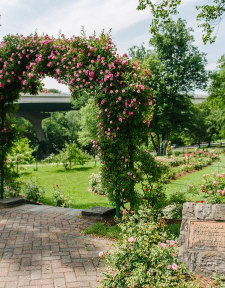 Jasper Crane Rose Garden
