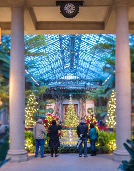 A Longwood Christmas