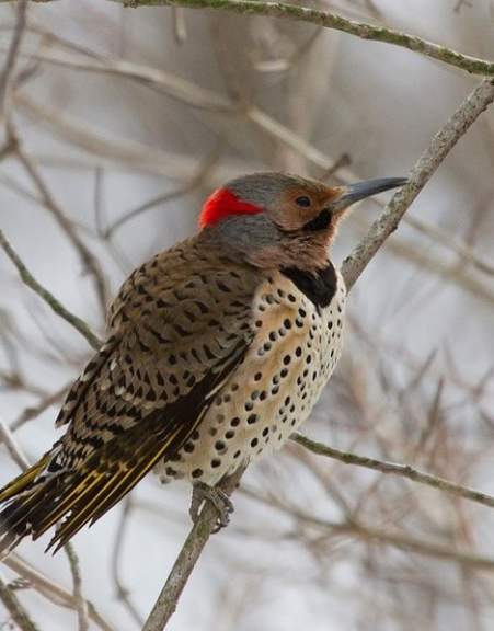 Ashland Nature Center