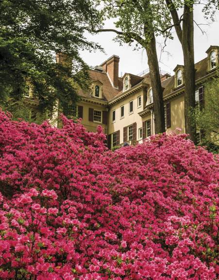 Winterthur Museum, Garden & Library