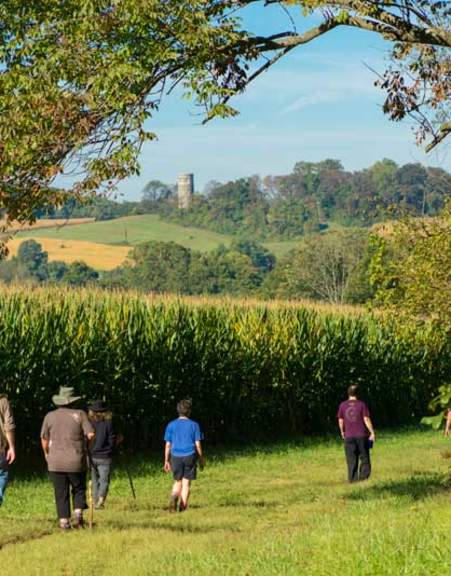 Beaver Valley (Woodlawn Tract)