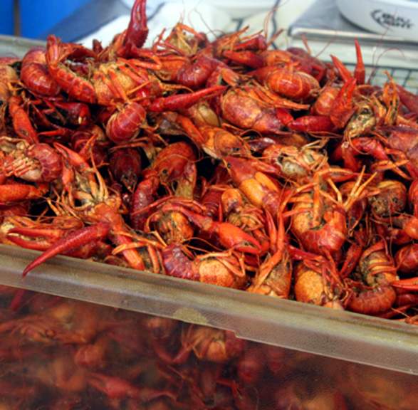 Kim's seafood discount