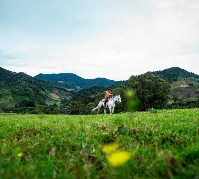 A person on horseback riding through a beautiful green field with rolling hills in the background. The sky is cloudy, adding to the peaceful atmosphere of the scene.