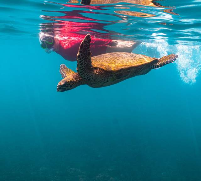 Coiba National Park, Gulf of Chiriquí, Panamá