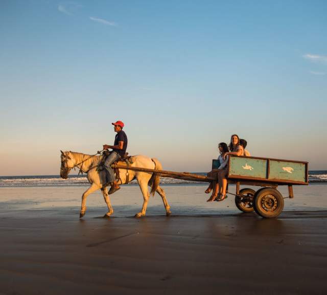 A gang of buddies riding in a horse-drawn carriage.