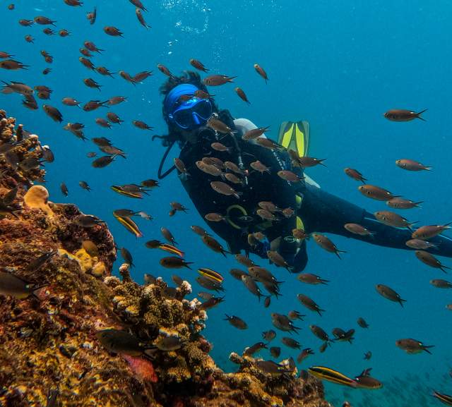 Diving enthusiast in the midst of a fish-filled underwater reef.