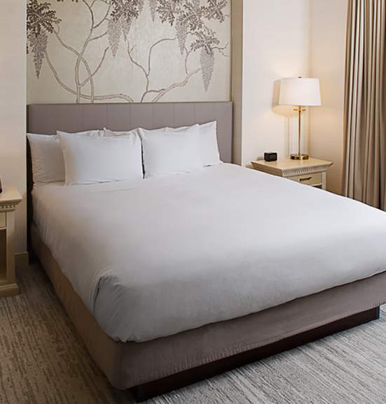 Hilton Atlanta Perimeter Suites